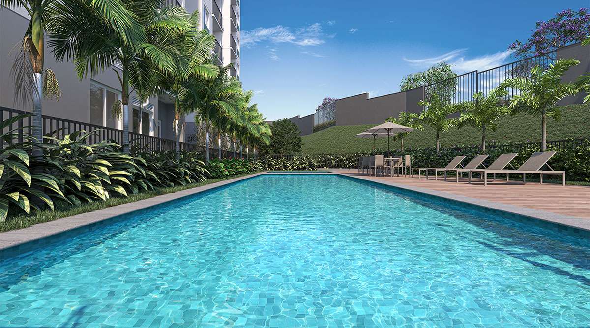Piscina adulto — Parque Cidade Universitária
