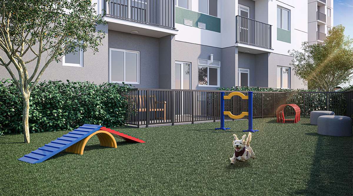 Pet place — Parque Cidade Universitária
